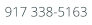 917 338-5163